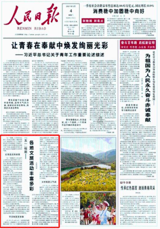 小汪汪